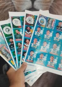 Todas figurinhas COPA 2026 + Extras em PDF - Imagem 3