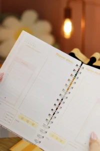 Combo Planejadores e Calendários 2027 (Estúdio G19) - Imagem 26