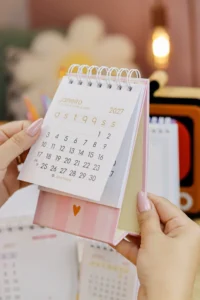 Combo Planejadores e Calendários 2027 (Estúdio G19) - Imagem 19