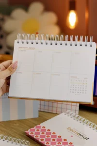 Combo Planejadores e Calendários 2027 (Estúdio G19) - Imagem 23