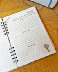 Coletiva Devocionais – Lavanda - Imagem 7