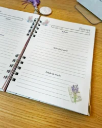 Coletiva Devocionais – Lavanda - Imagem 5