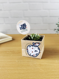 Box para suculenta – Coleção Um Proposito - Imagem 5