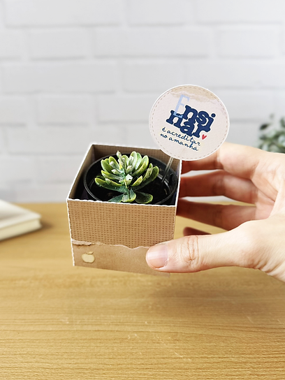 Box para suculenta Box para suculenta – Coleção Um Proposito - Imagem 1