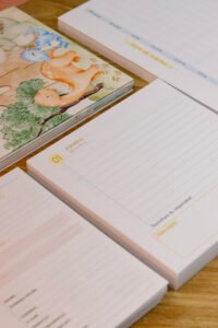 Combo Agendas Escolares 2027 (Estúdio G19) - Imagem 24