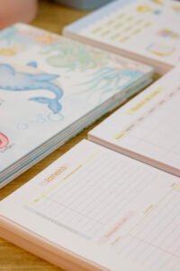 Combo Agendas Escolares 2027 (Estúdio G19) - Imagem 26