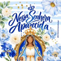 Coleção – Nossa Senhora Aparecida (Avião Sem Asa)